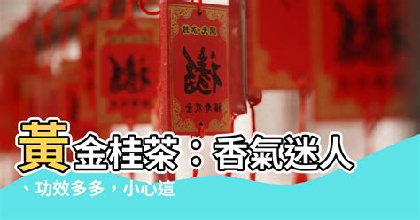 青蛙入屋|【青蛙入屋】青蛙跳進你家！預兆好還是壞？ – 每日新聞 Daily。